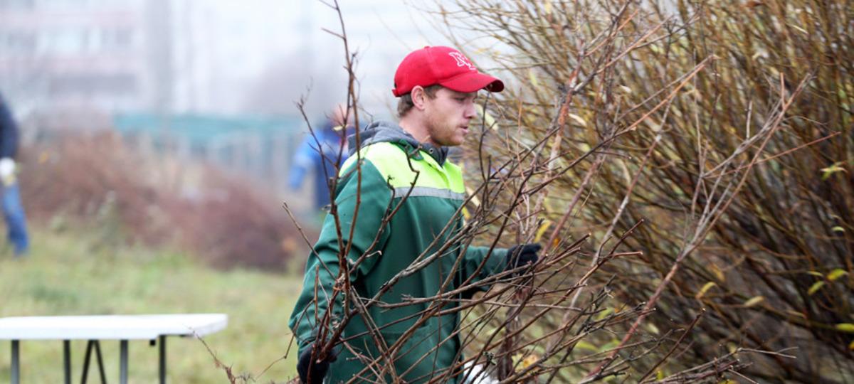 Субботник, уборка, люди, Брест