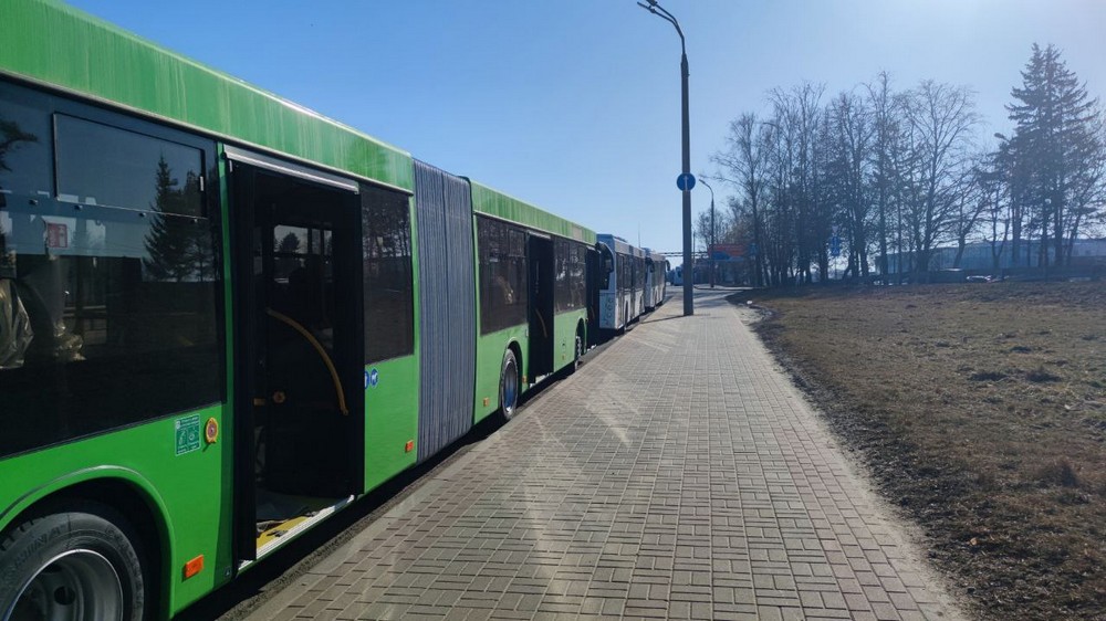 Новые автобусы МАЗ в Бресте. Фото: Брестский горисполком