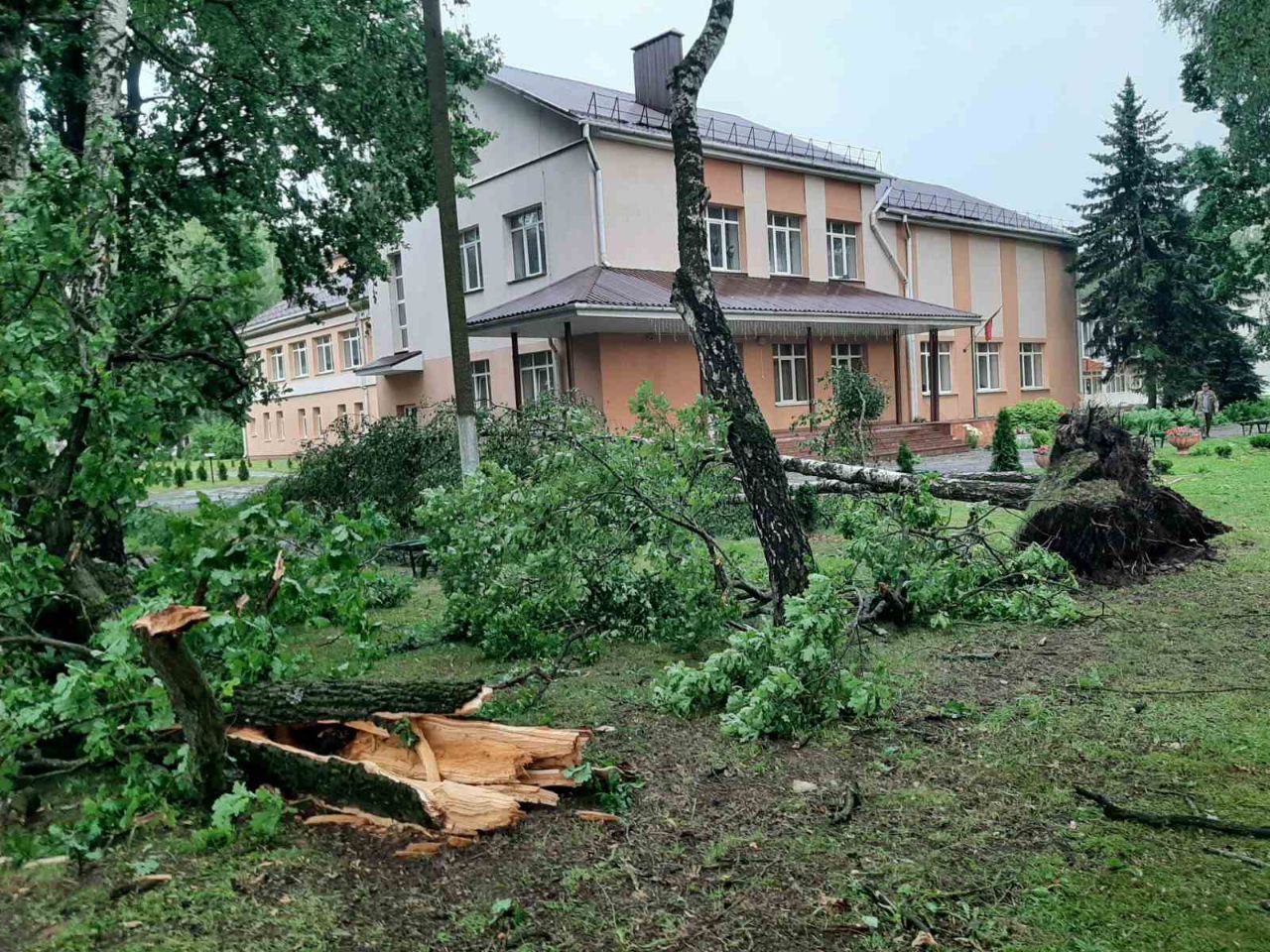 Последствия непогоды в Пинском районе. Фото: МЧС.