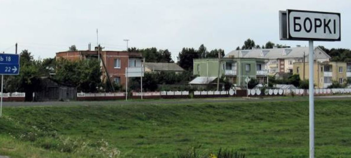 Агрогородок, Борки, дорога