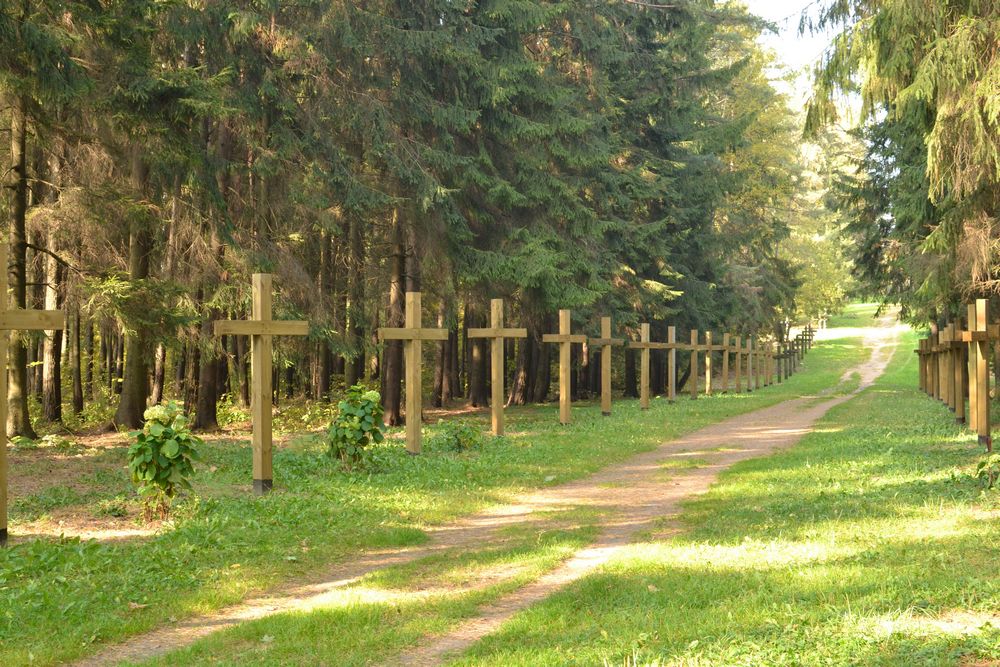 Урочище Куропаты: деревянные кресты стоят вдоль дороги