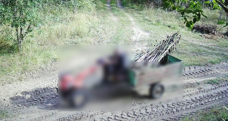 вывоз отходов, вывоз отходов в Костюковичах, вываз адходаў у Касцюковічах, Касцюковічы