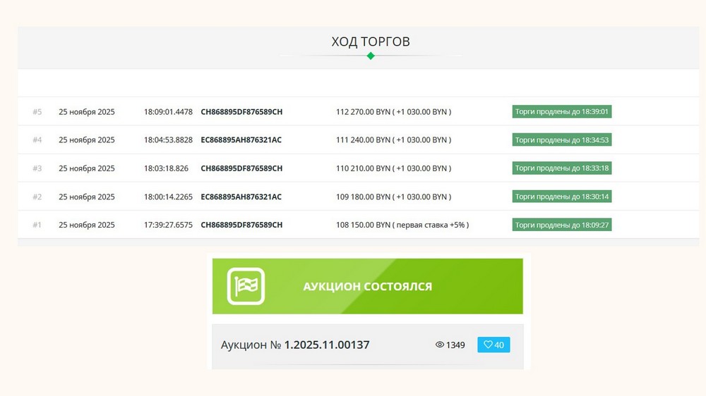 Ход торгов на аукционе по продаже квартиры Виталия Чопика