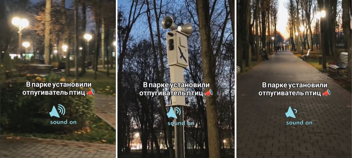 Отпугиватель птиц в парке в Барановичах. Коллаж BGmedia