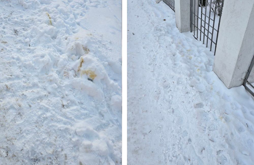 Снег на тротуарах в продуктах жизнедеятельности собак на ул. Советской Конституции в Бресте.