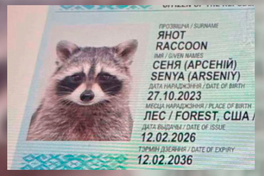 Паспорт Сени.